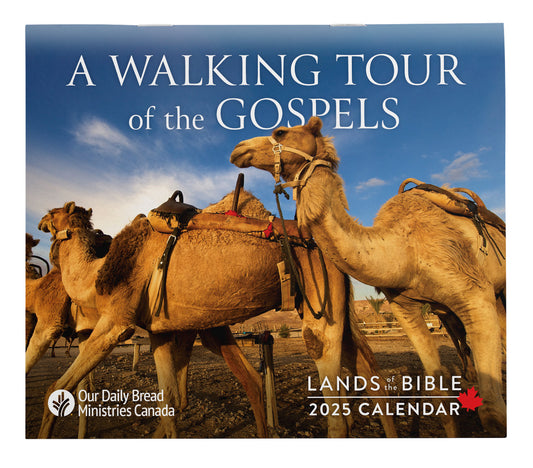 Lands of the Bible 2025 Wall Calendar (A Walking Tour of the Gospels)