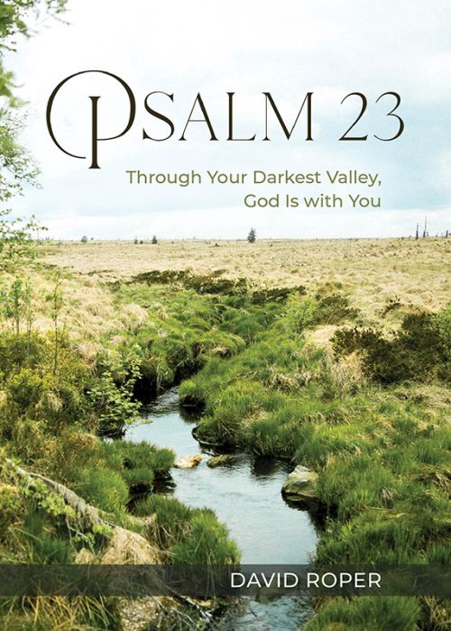 Psalm 23: Through Your Darkest Valley, God is With You (Paperback)